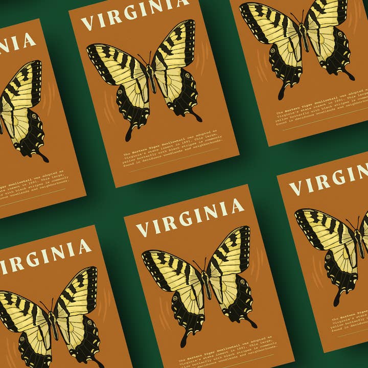 Jessica Holly Creative - Wholesale Postcard - Virginia State Insect Soft Touch Postcard, 4x6in 2