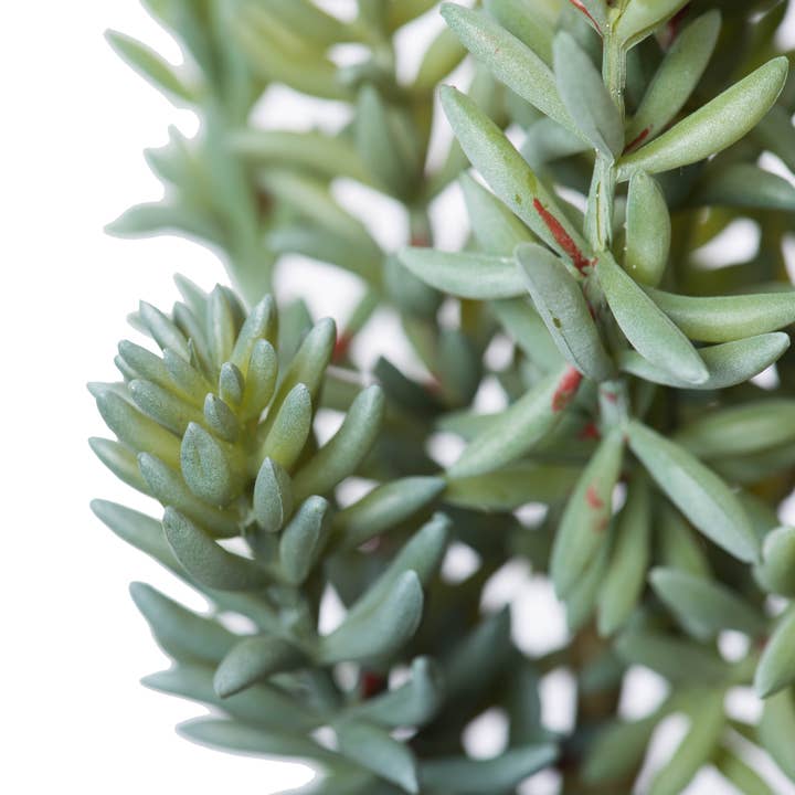 Vickerman 8" Artificial Green and Red Sedum Pick, Set of 3 for wholesale on Faire2