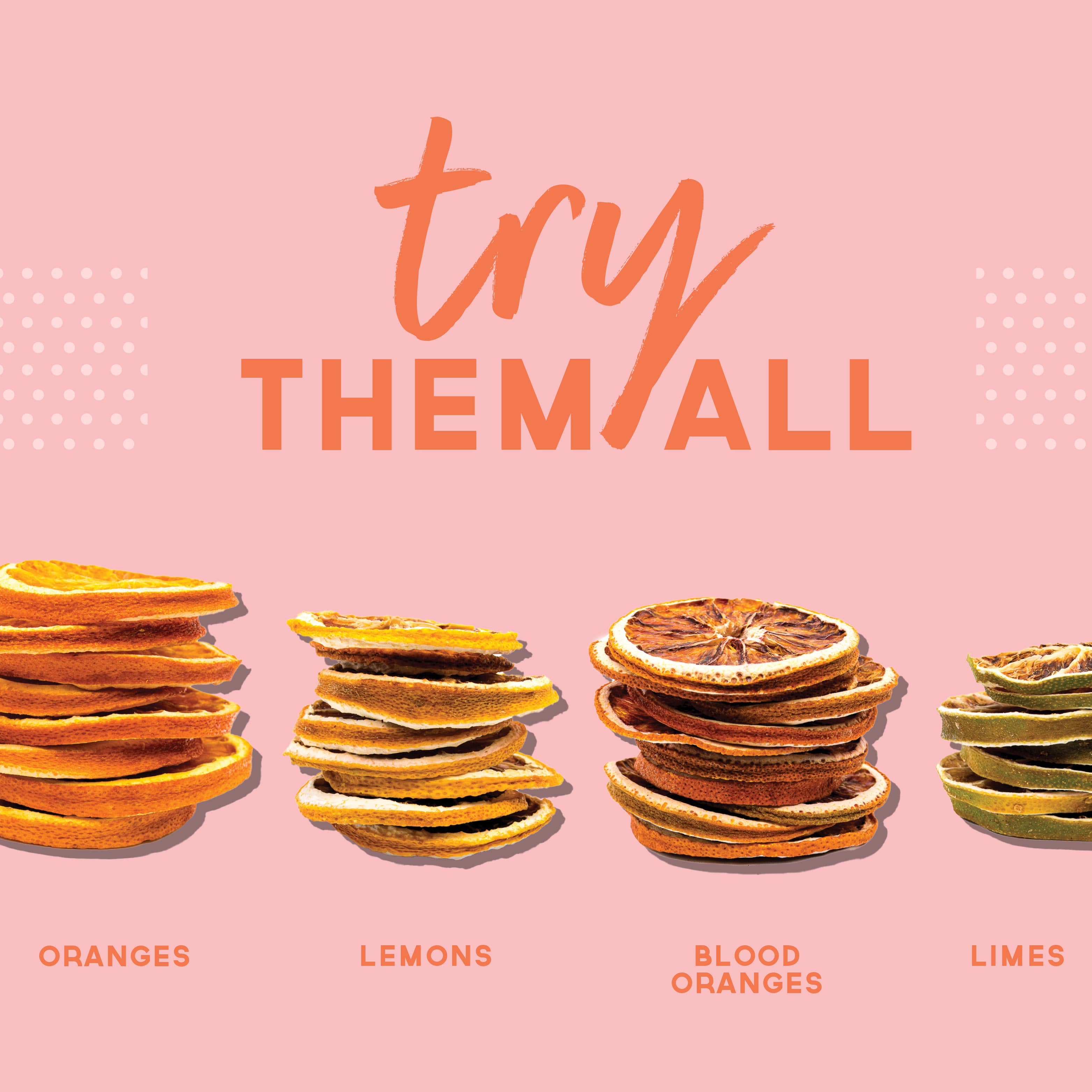 BlueHenry LLC - Wholesale Dried/Dehydrated Fruit - Dehydrated Grapefruit Half Slices (Small Case)6