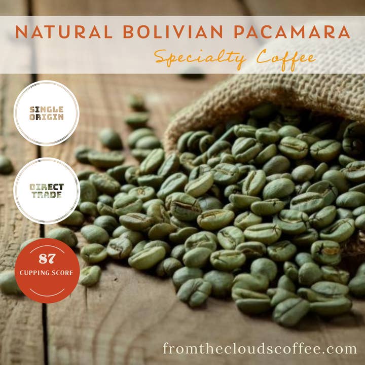 From The Clouds Coffee - Wholesale Coffee Beans - GREEN COFFEE BEANS - Natural Bolivian Pacamara