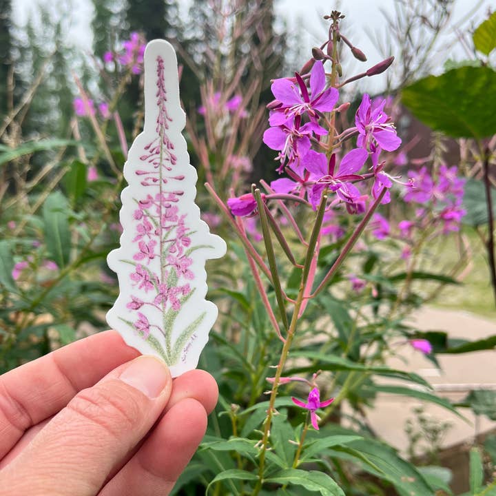 Pink Fireweed Wildflower Vinyl Sticker, Durable, Waterproof for wholesale by Sea Spray AK