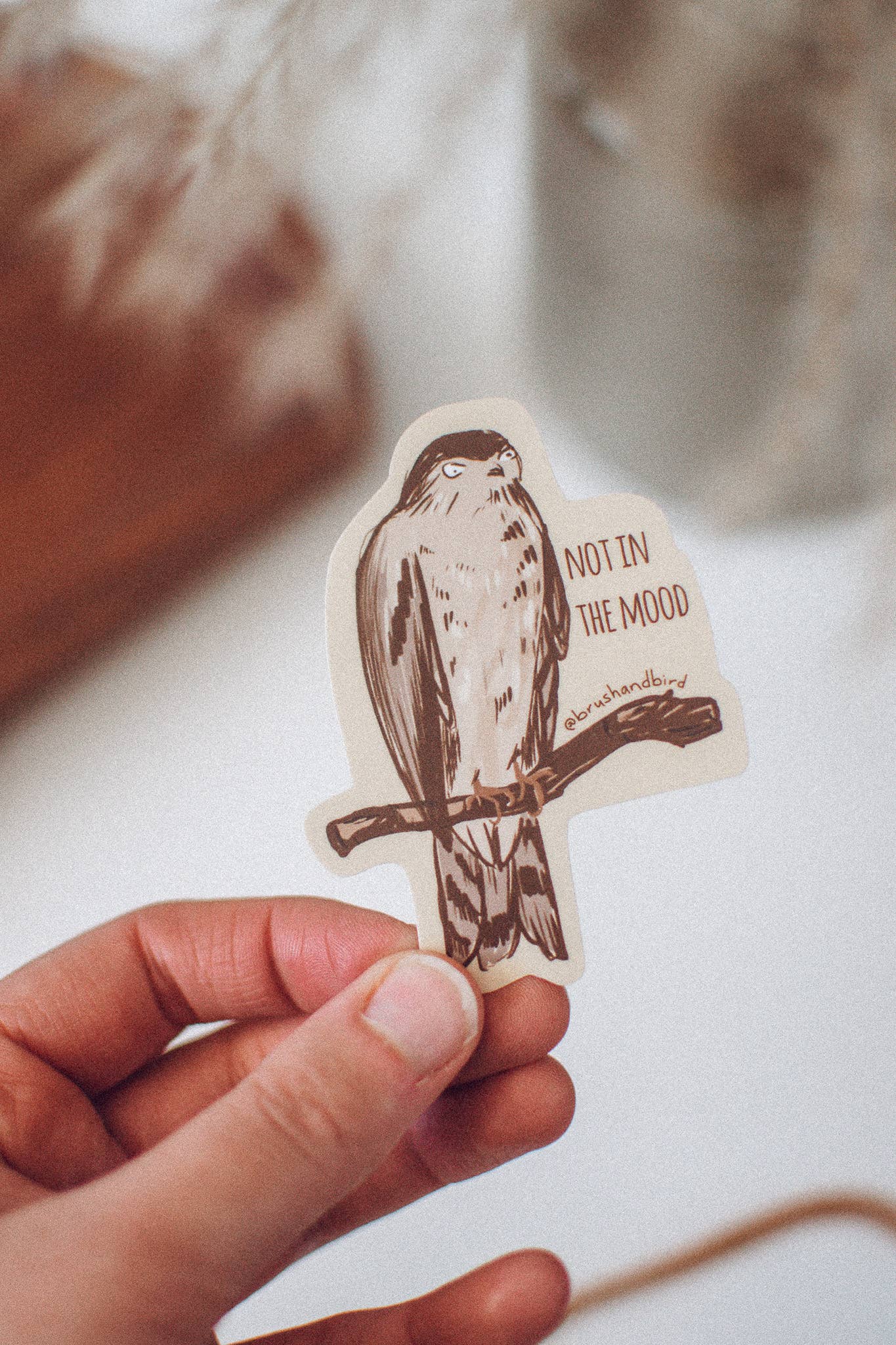Brush & Bird Paper Co. - Wholesale Sticker - Grumpy Hawk Vinyl Sticker | "Not in the Mood" Birding Gift1