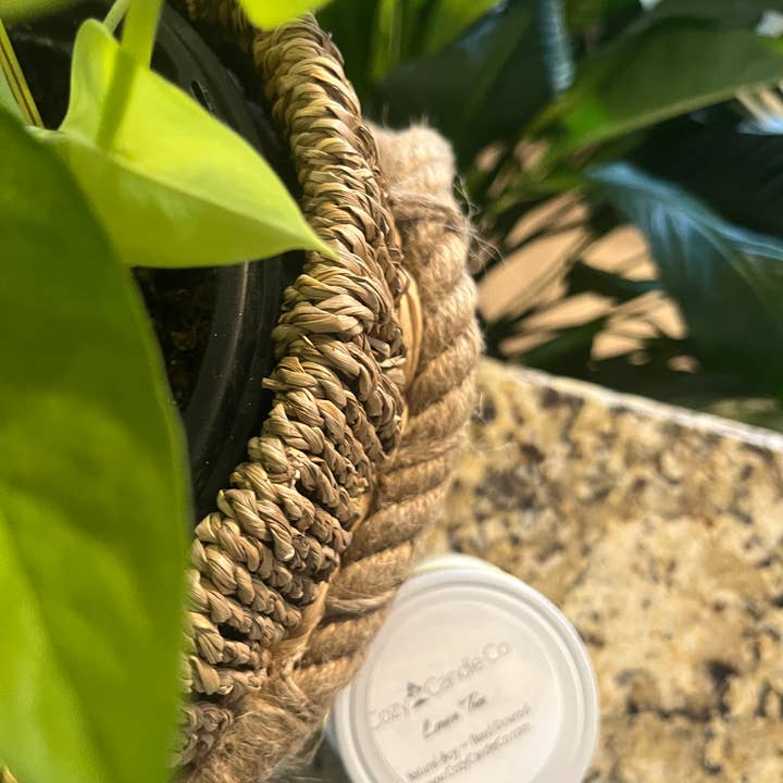 Bougie en cire de soja au citron 8oz pour la vente par Cozy Candle Co