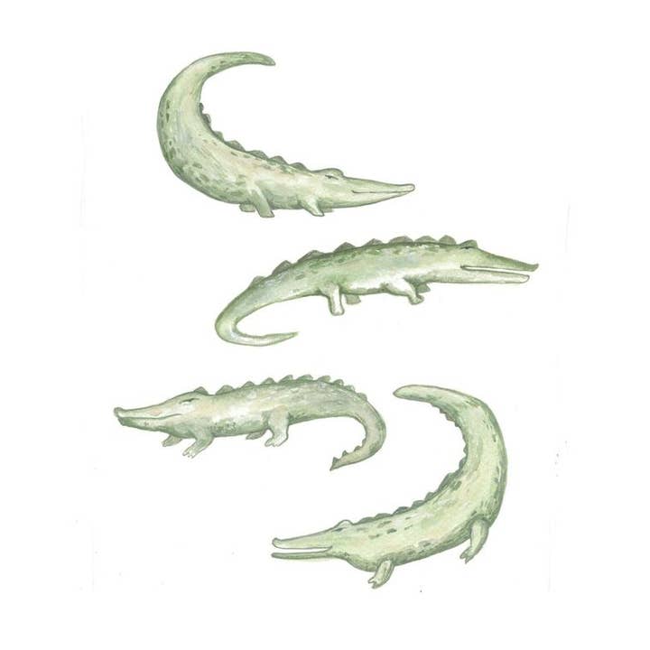 Crocodile art Print for wholesale by Jessica Frasz Studio