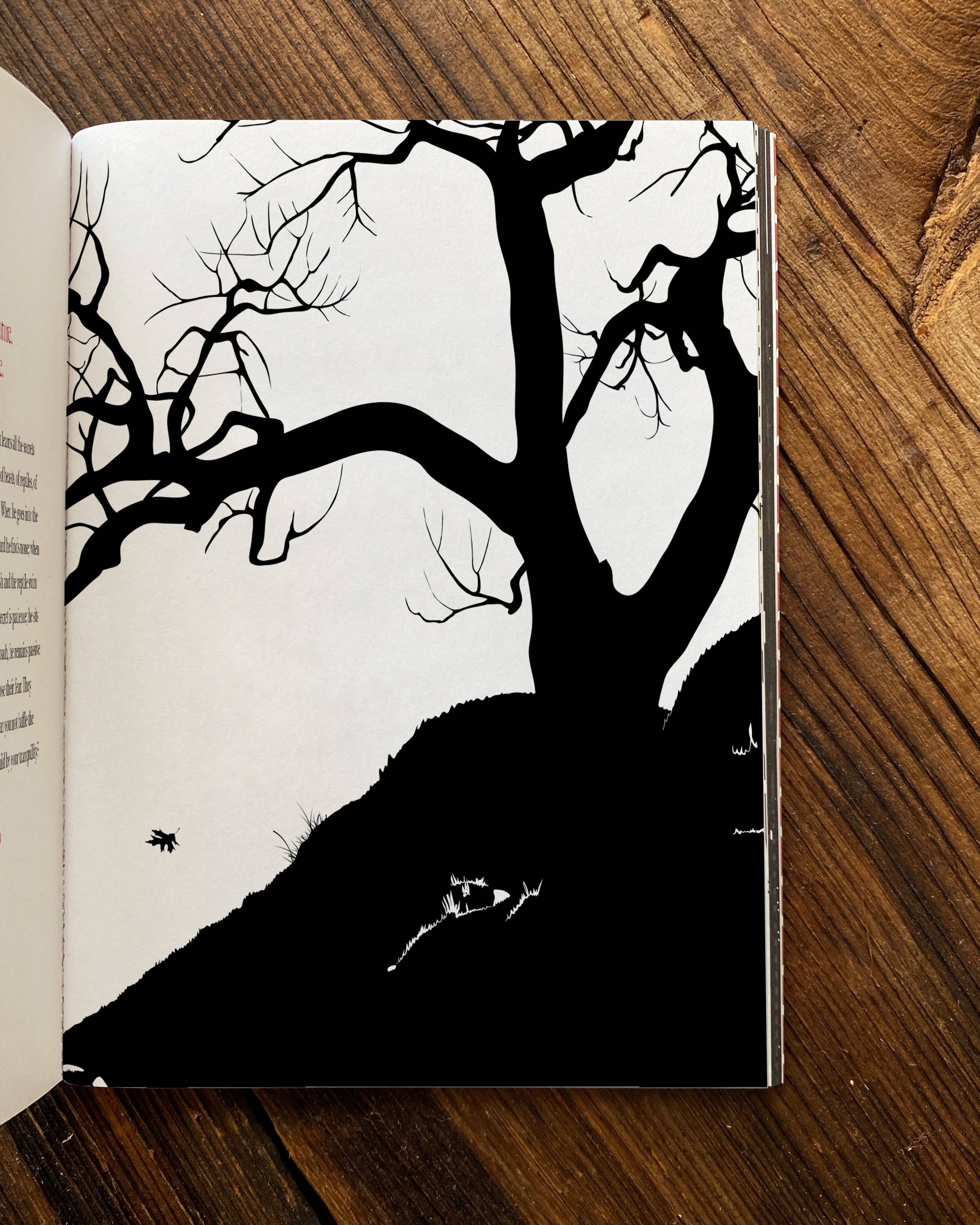 Obvious State – Poesia e teatro por atacado – Sobre a Natureza: Obras Completas e Poemas, Livro Ilustrado4