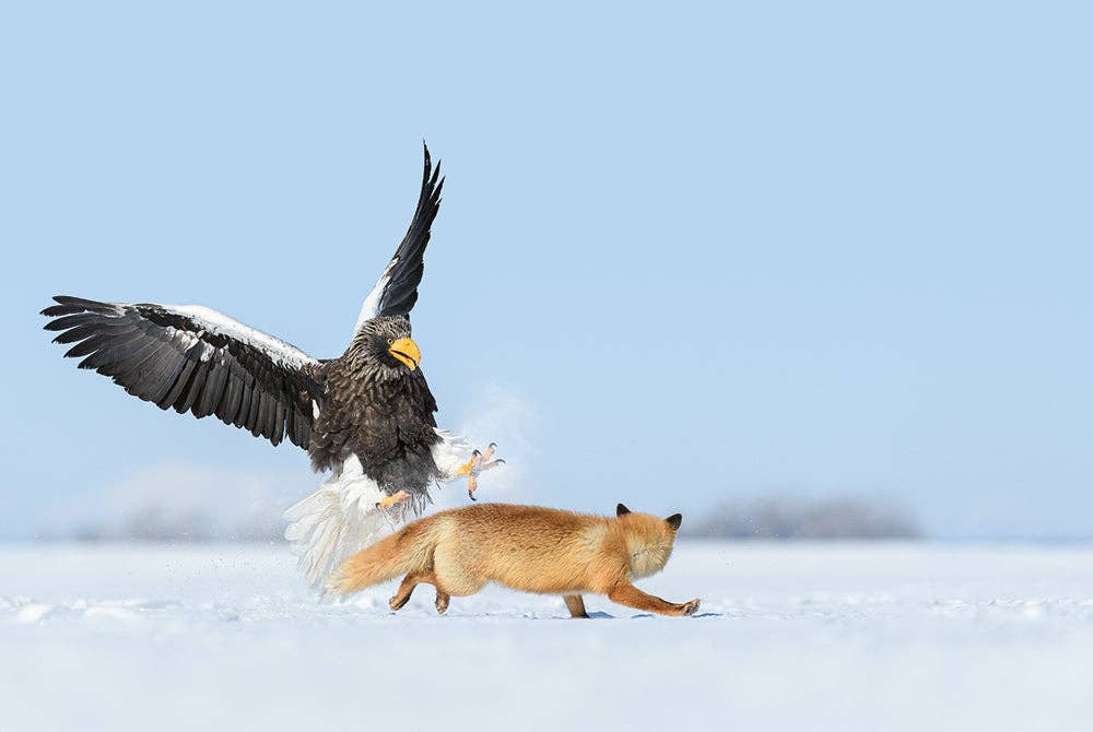 gestalten & teNeues - Wholesale Display Book - Mother8