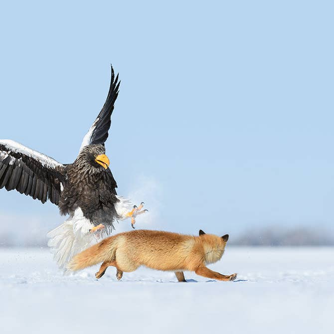 gestalten & teNeues - Wholesale Display Book - Mother8