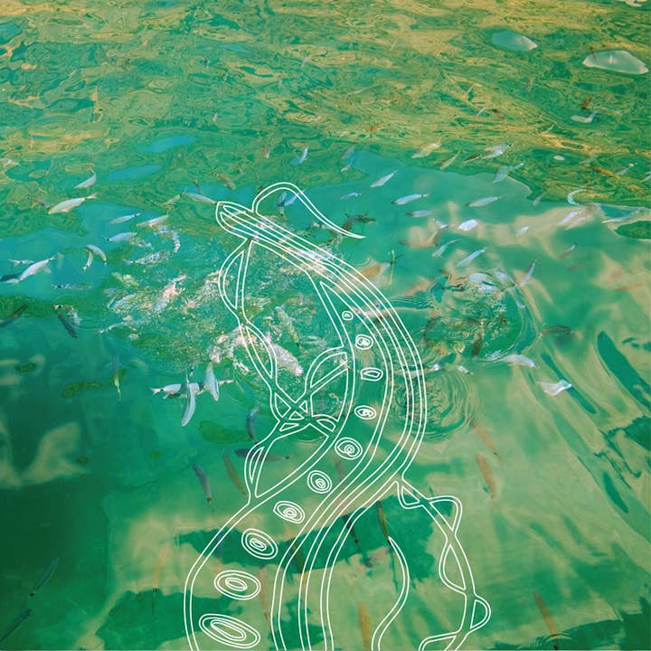 Morgana - Wholesale Solid Perfume - OCTOPUSSY Fragrance Solid Perfume Glass Container3