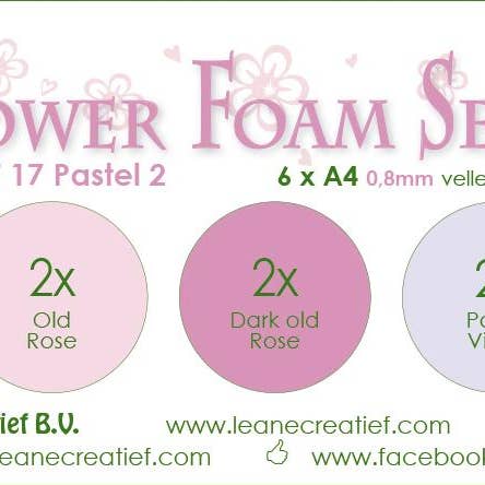 Ecstasy Crafts Distributing - Wholesale Craft supplies - Flower Foam Set 17, 6 Sheets A4 3X2 Pastel Colours 2.0