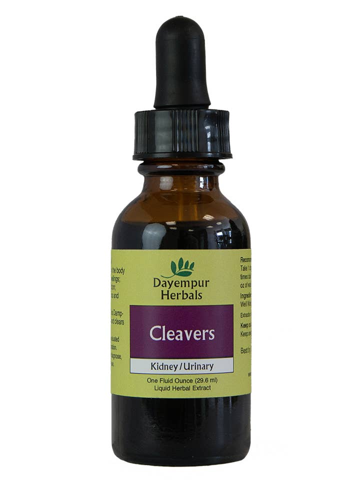 Cleavers for wholesale by Dayempur Herbals