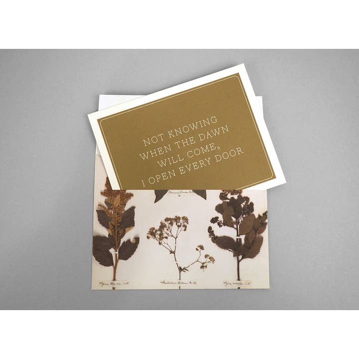 Chronicle Books - Wholesale Stationery/Notecard Set - Emily Dickinson Notecards4
