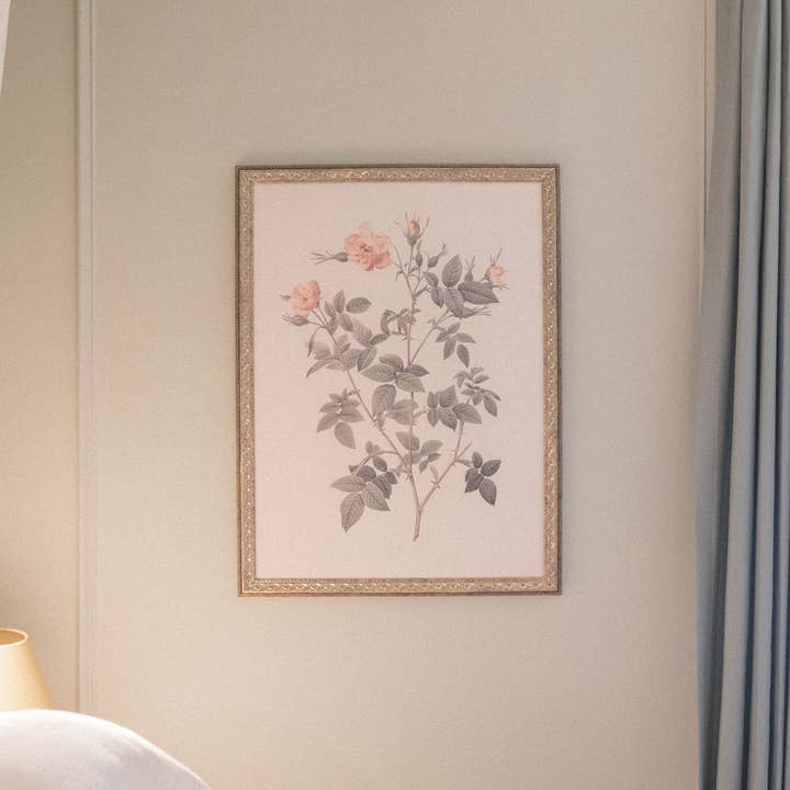 Petal Lane Home - Wholesale Wall Art Set - Rosa Framed Antique Art