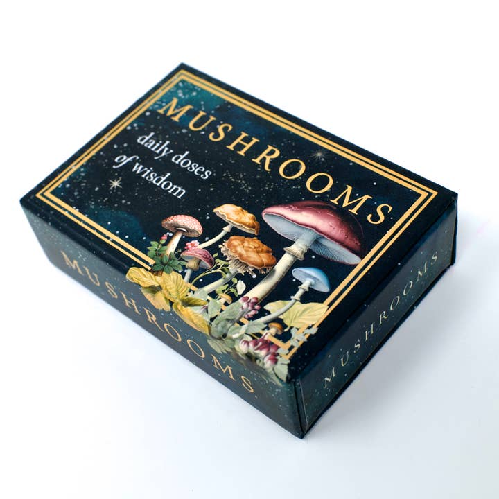 Red Wheel/Weiser LLC - Wholesale Tarot Cards - Mushrooms: Daily Doses of Wisdom (36 Gilt-Edged Mini Cards)15