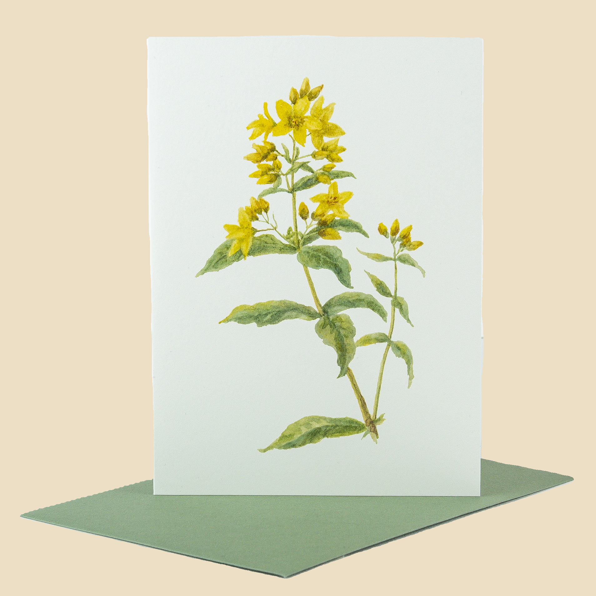 Sophia Davenport - Wholesale Everyday Greeting Card - Wildflower Greeting Cards and Notelets34