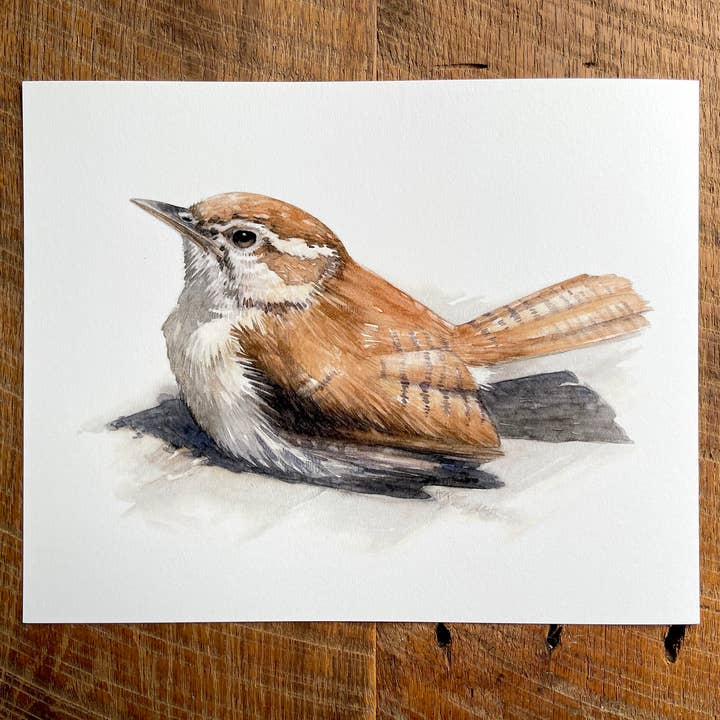 Carolina Wren - Watercolor Art Print, 8x10 inches for wholesale by Amy Shawley Paquette