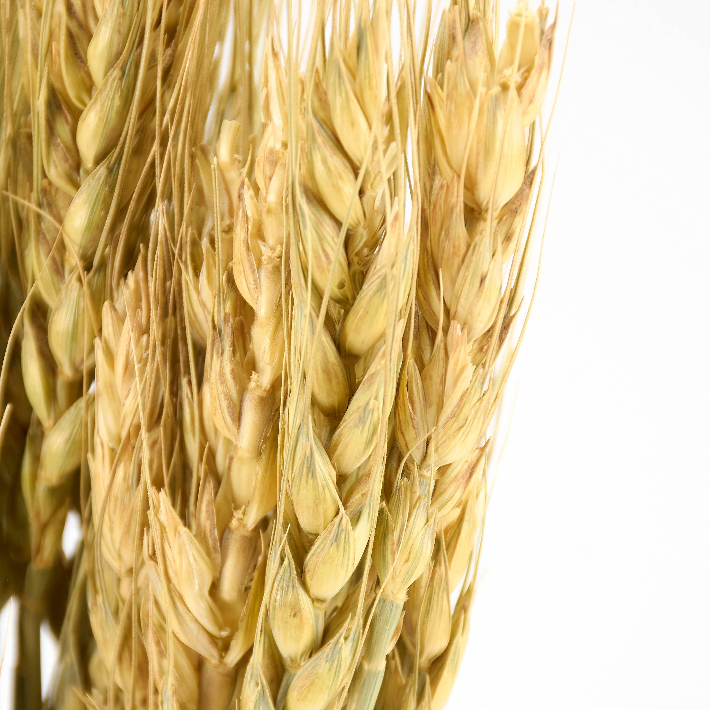 Primitives by Kathy - Wholesale Artificial Flowers - Wheat Grass Bouquet2