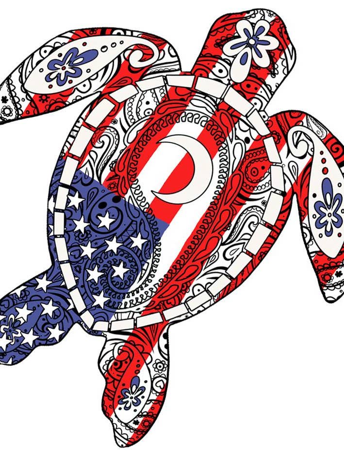 TD-21 USA Turtle Decal for wholesale by Southern Attitude