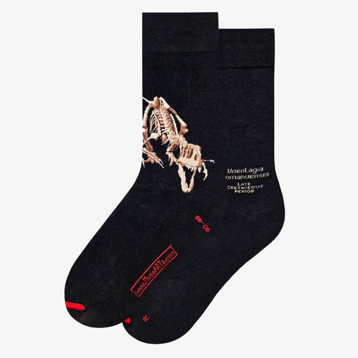 Dinosaurier – Unenlagia Comahuensis for wholesale by ART SOX - MuseARTa GmbH