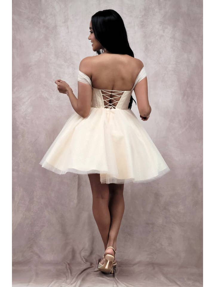 Chicas - Wholesale Dress - Women's - Short Off The Shoulder Tulle Dress With Brooch20