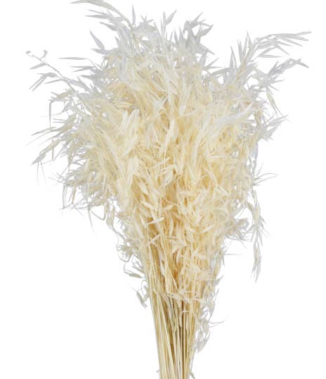 natural DRIED WILD OATS for wholesale on Faire