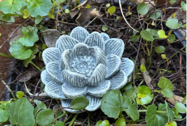 Backyard Stone Art - Vendita all'ingrosso Ornamenti/decorazioni per esterni - Fiore in cemento, ninfea di loto, 7,6 x 3,8 cm7