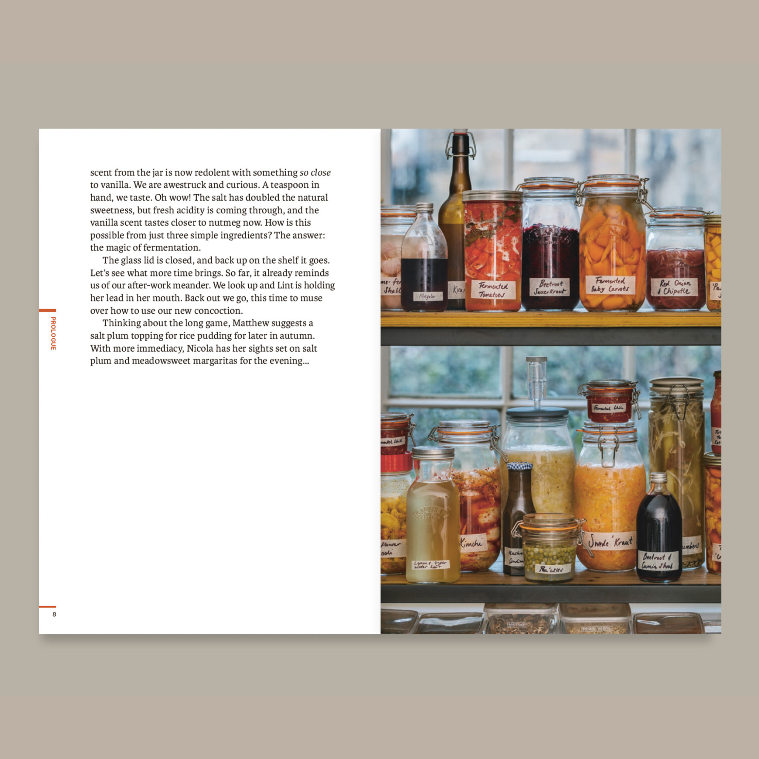 Do Books - Wholesale Cookbooks & Food - Do Ferment, Guide to Making Kimchi, Kefir and More2