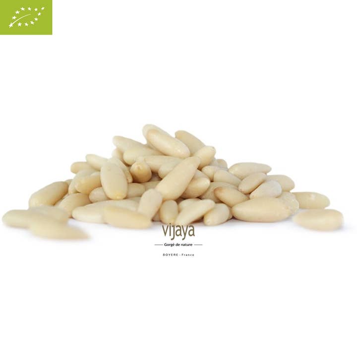 VIJAYA - SAS J.L. BOYERE - Wholesale Nuts - Pine nuts - ITALY - 1 kg - Organic*2