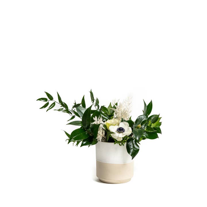 Momma Pots - Wholesale Vase - 8" Flower Vases21