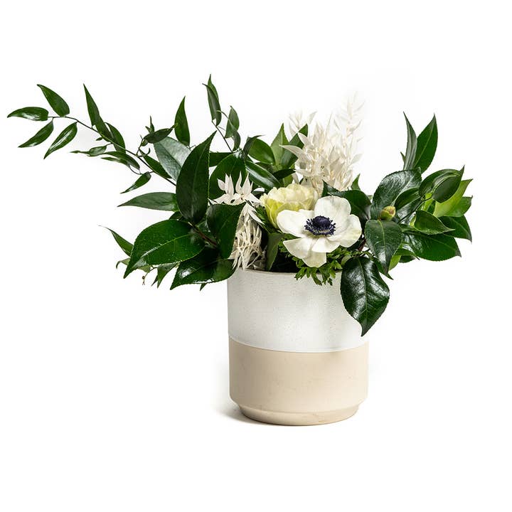 5" Cache Pot & Flower Vase and other Purchase Wholesale cache cache. Free Returns & Net 60 Terms on Faire trending on Faire.