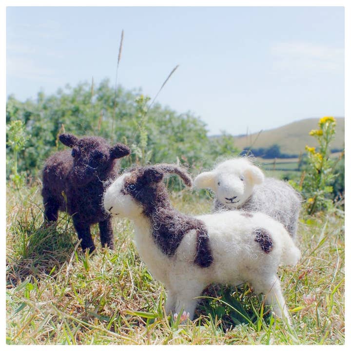 Sheep Needle Viltkits keuze uit 3 rassen voor wholesale door Black Dog & Ginger Cat