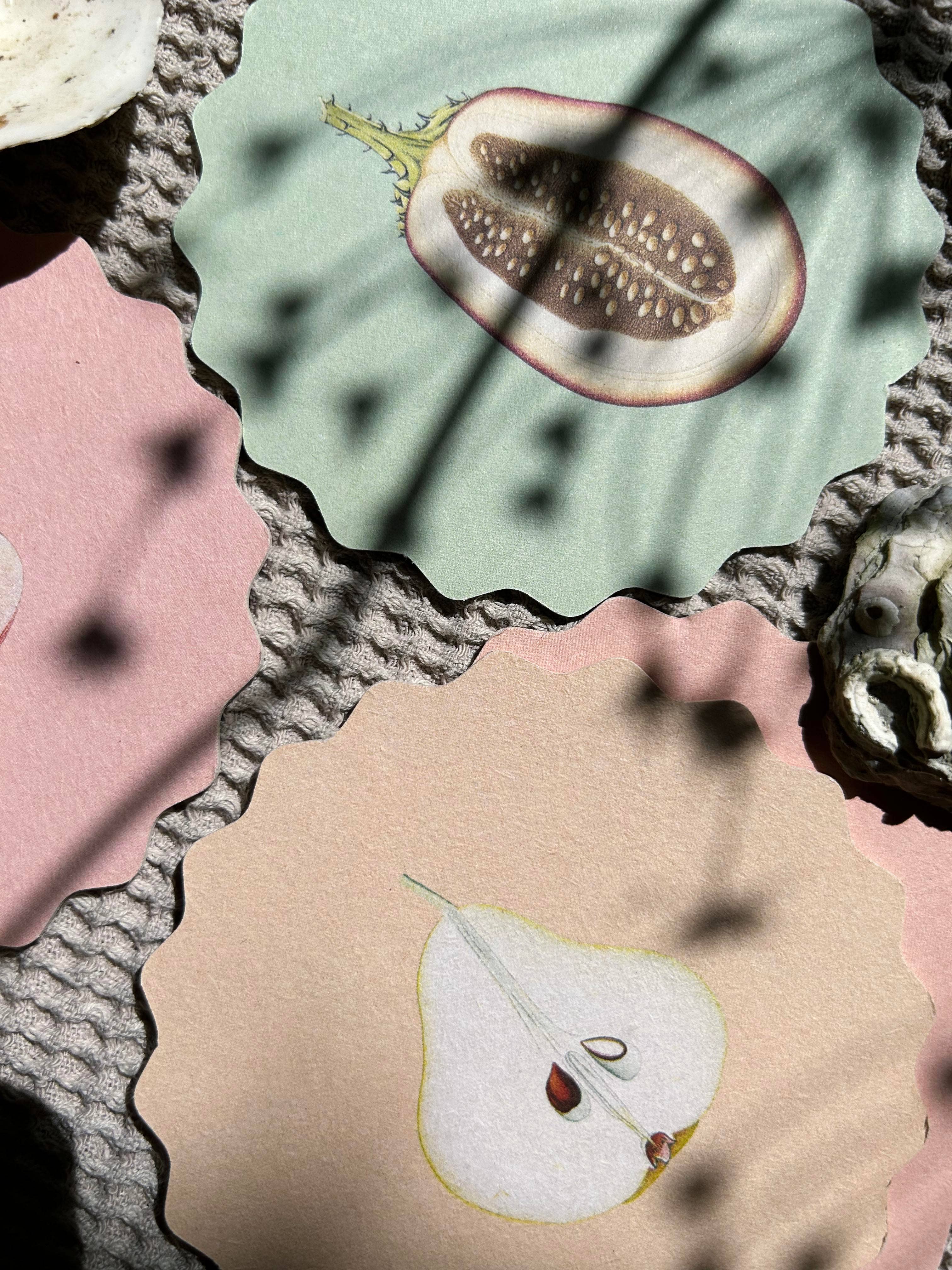 30x40 - Wholesale Coasters - Coaster Set Fruit & Veg 🍋🥑🍊2