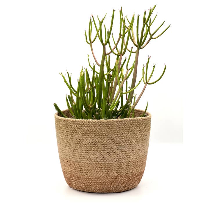 Ørken Blomst Jute Bucket for engroshandel hos MOkun