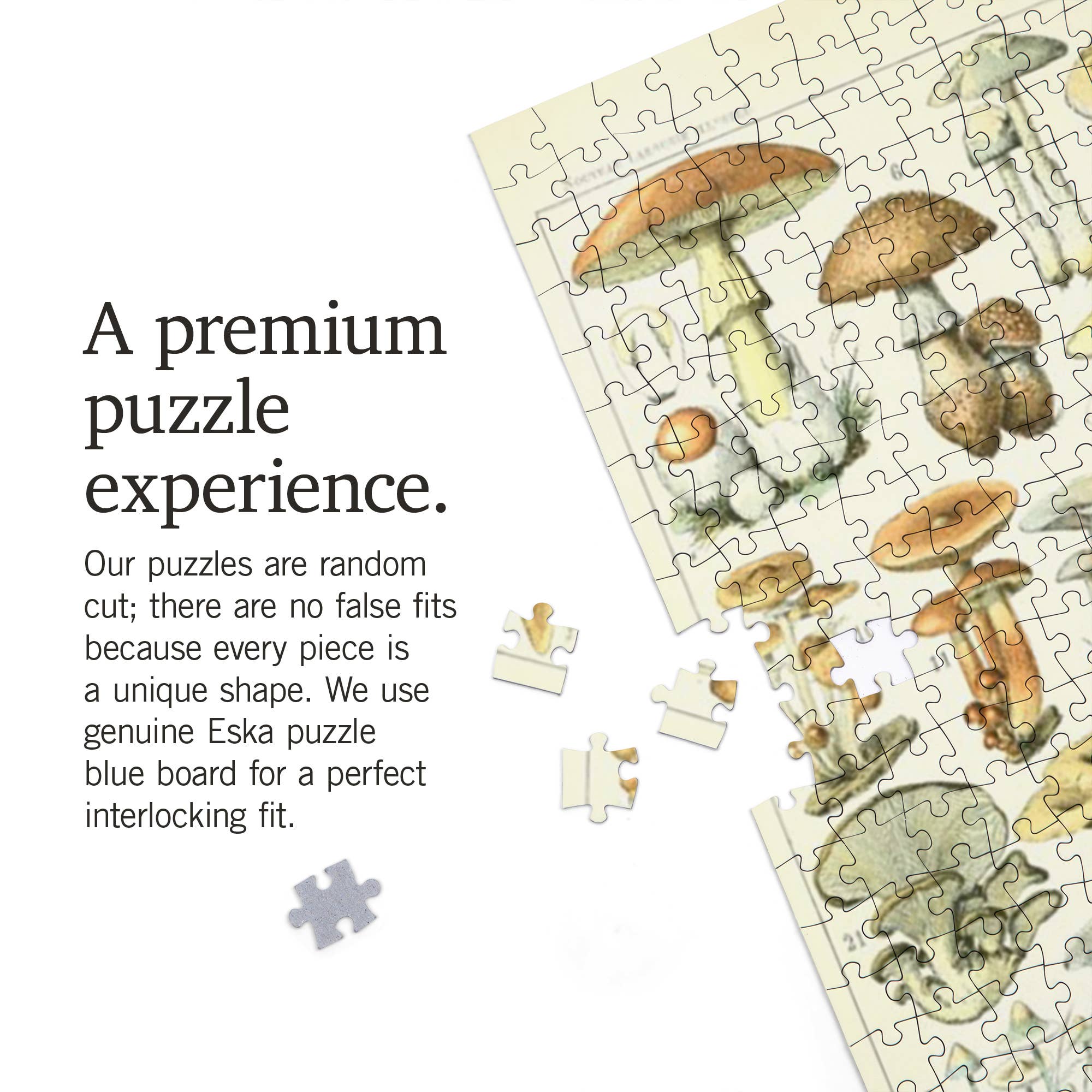 Lantern Press – wholesale Puzzle – Adult – 1000 PIECE PUZZLE Mushrooms, B, Vintage Bookplate3