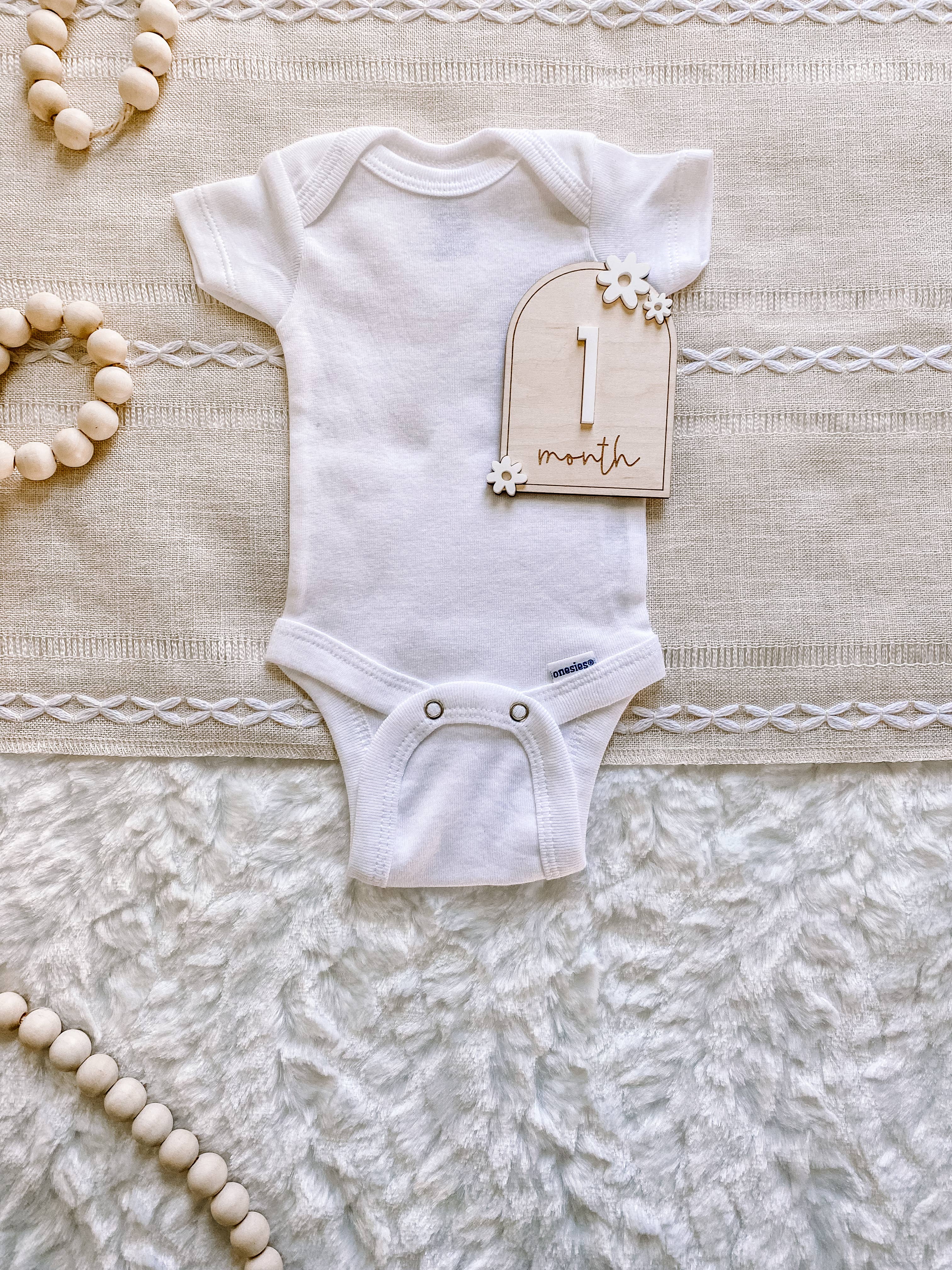 Claire and Bella - Wholesale Milestone Art/Keepsake - Kids & Baby - Wooden Monthly Milestone Set - Daisy7