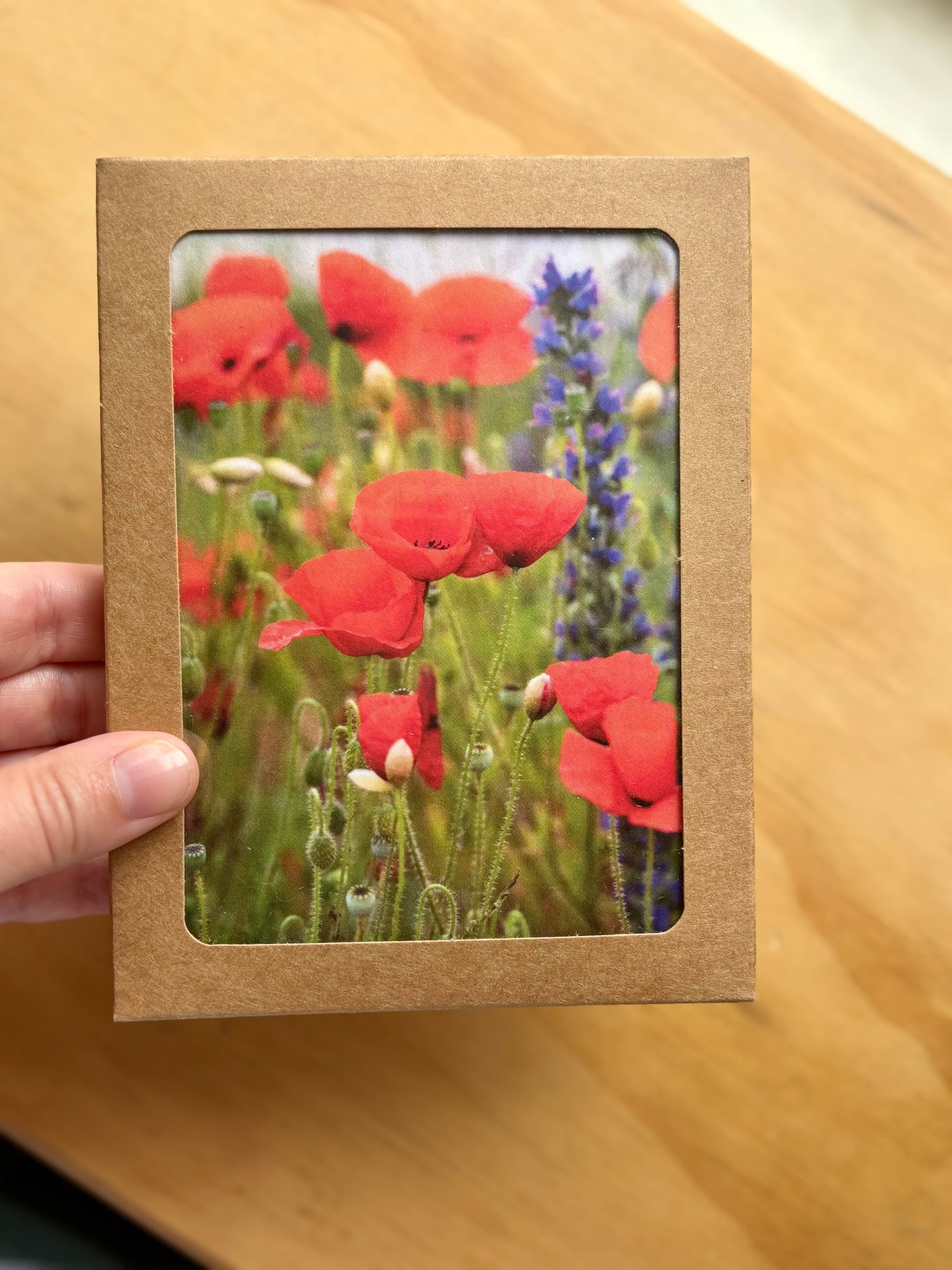 Andrea Morris Art - Wholesale Stationery/Notecard Set - Floral Card Variety Pack (5 Different Cards + Envelopes)10