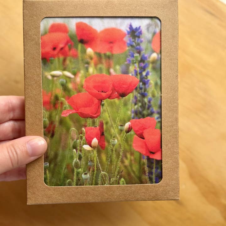 Andrea Morris Art - Wholesale Stationery/Notecard Set - Floral Card Variety Pack (5 Different Cards + Envelopes)10