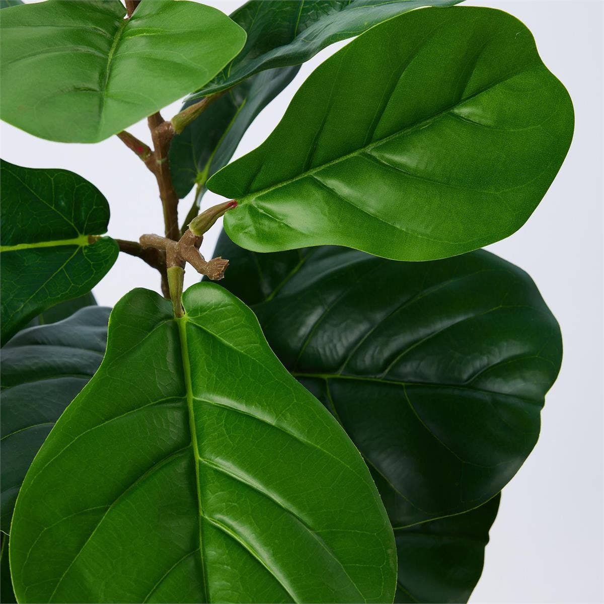 Truu Design - Wholesale Artificial Plant - Truu Design Artificial Fiddle Leaf Fig Potted Plant, 2 Sizes2