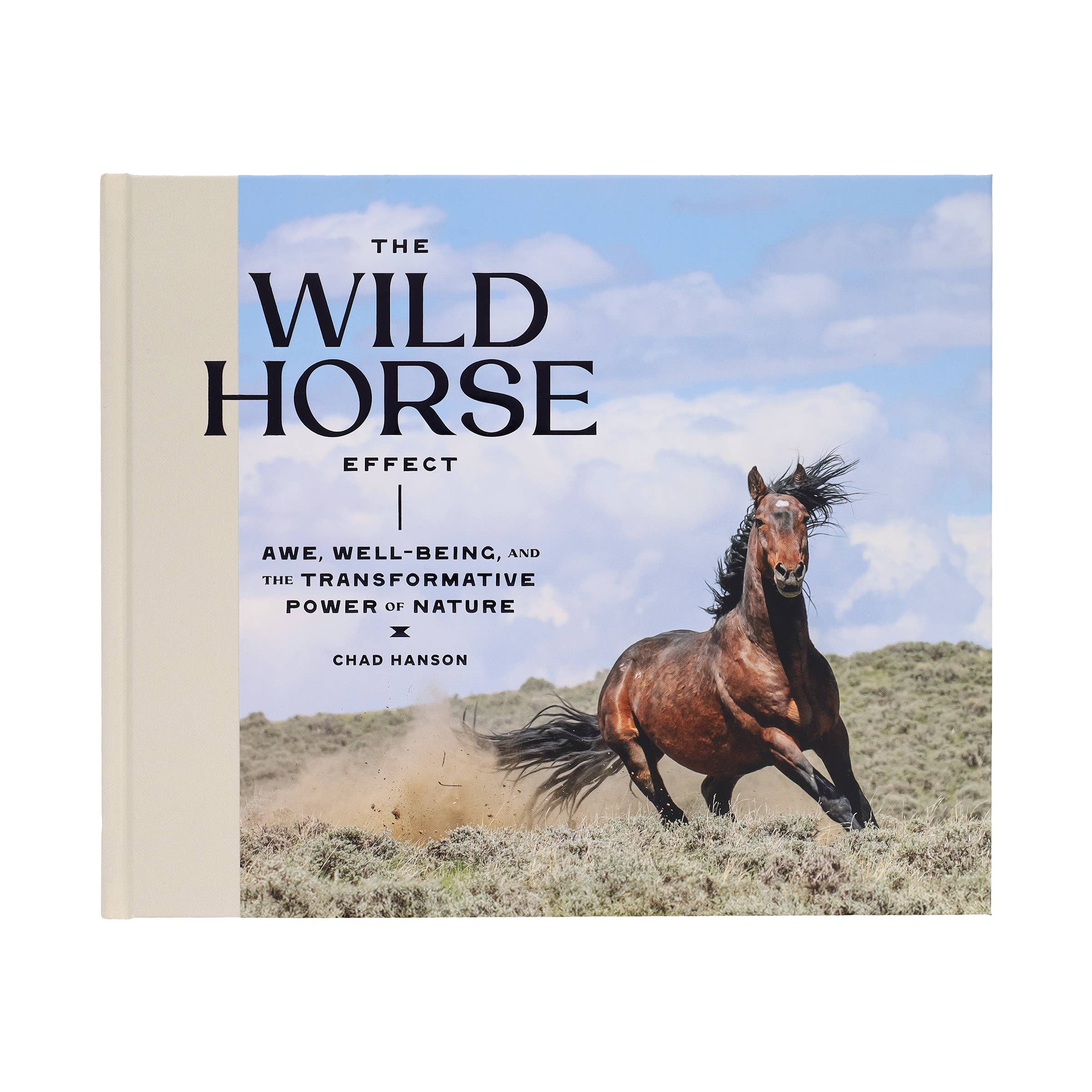 Chronicle Books - Wholesale Nature & Outdoors - Wild Horse Effect6
