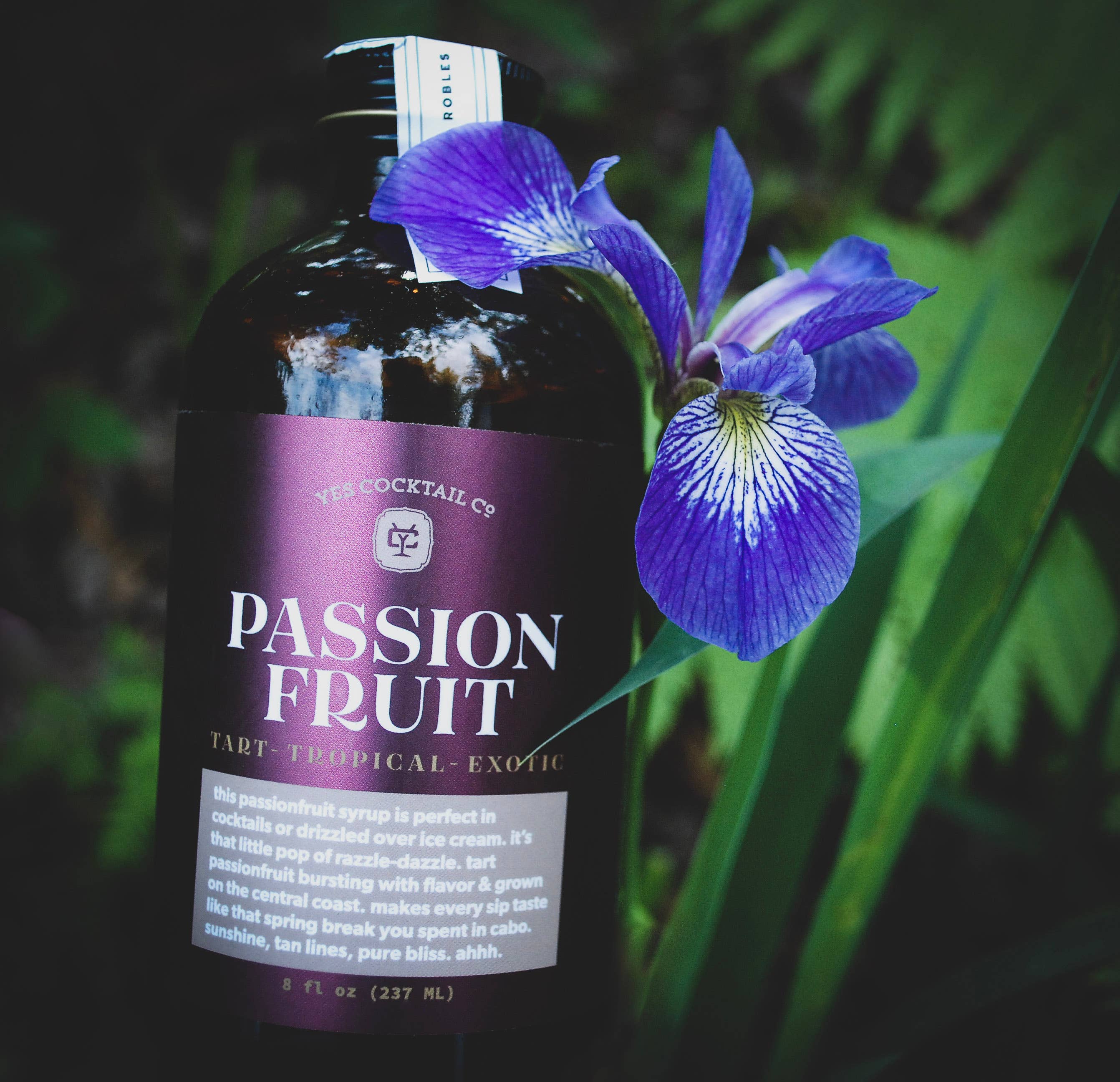 Yes Cocktail Co - Vente Mélange/sirop pour cocktails - Sirop de fruit de passion11