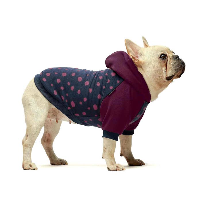Fitwarm - Wholesale Pet Hoodie - Dog - Polka Dot Hoodie