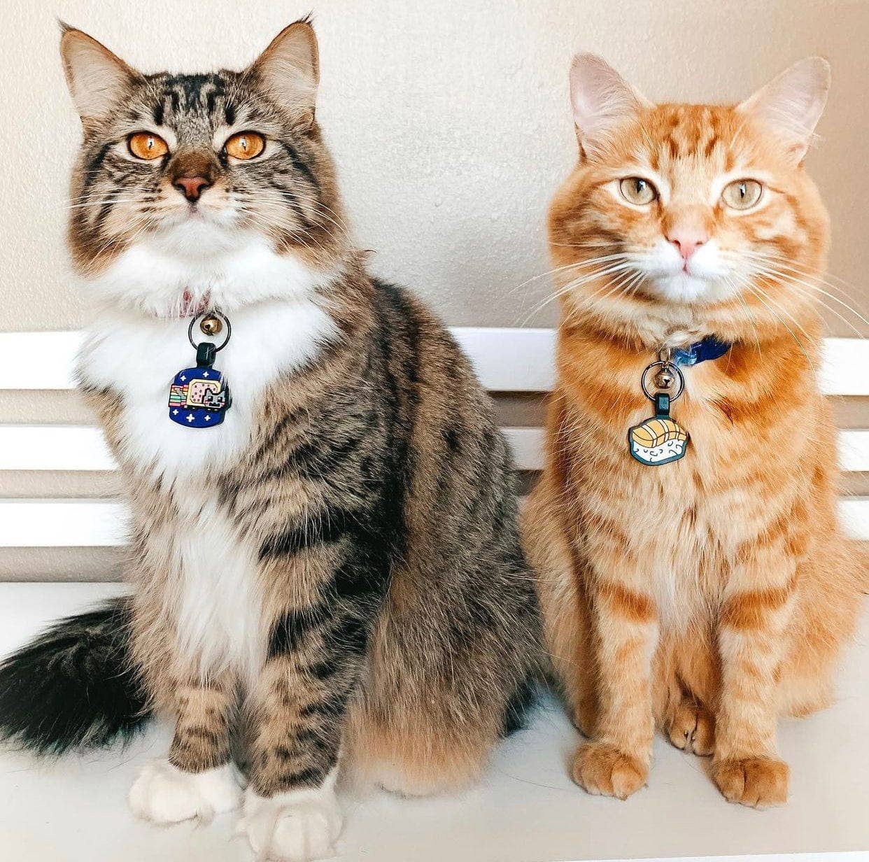 Besties Pets - Wholesale Pet Identification Tag - Cat - Sushi Silicone Cat ID Tag6