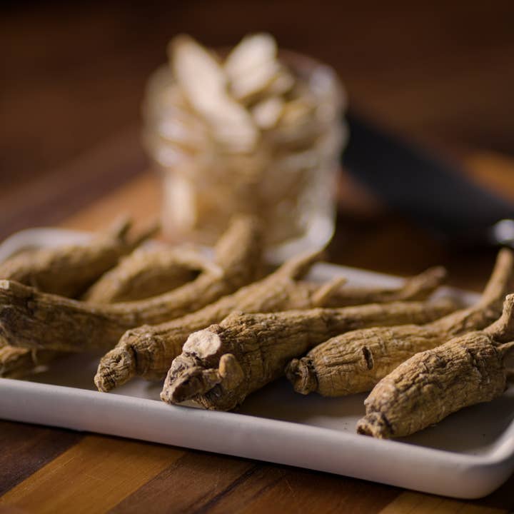 Dairyland Ginseng - Wholesale Herbs - Wisconsin American Ginseng Roots5