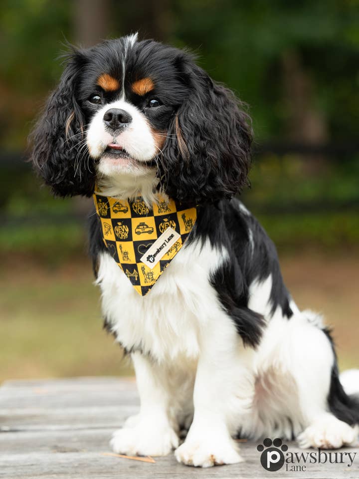 Pet Bandana - NYC Big Yellow Taxi for wholesale by Pawsbury Lane