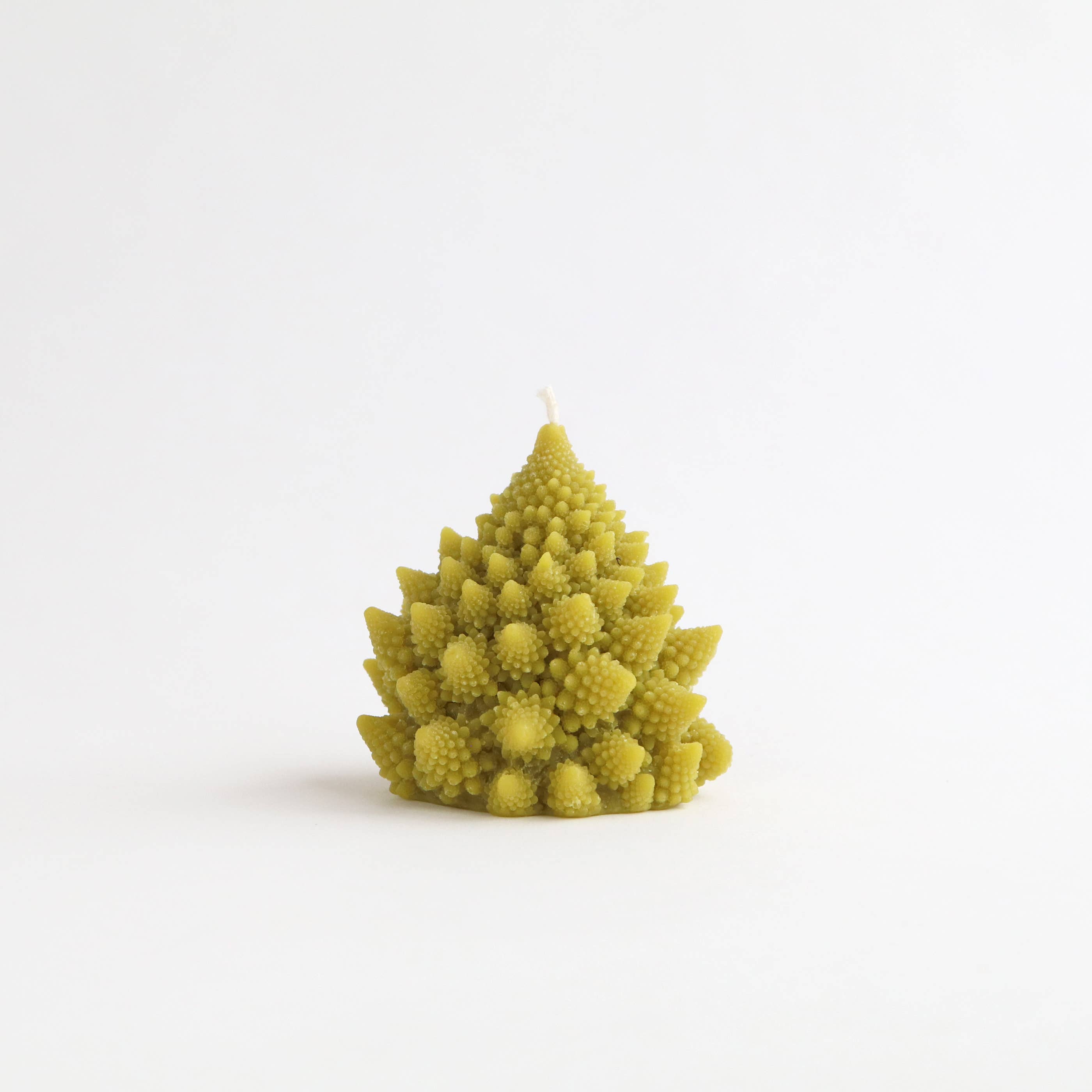 Artifaqt – Engroshandel Gavelys – Romanesco-bivokslys0