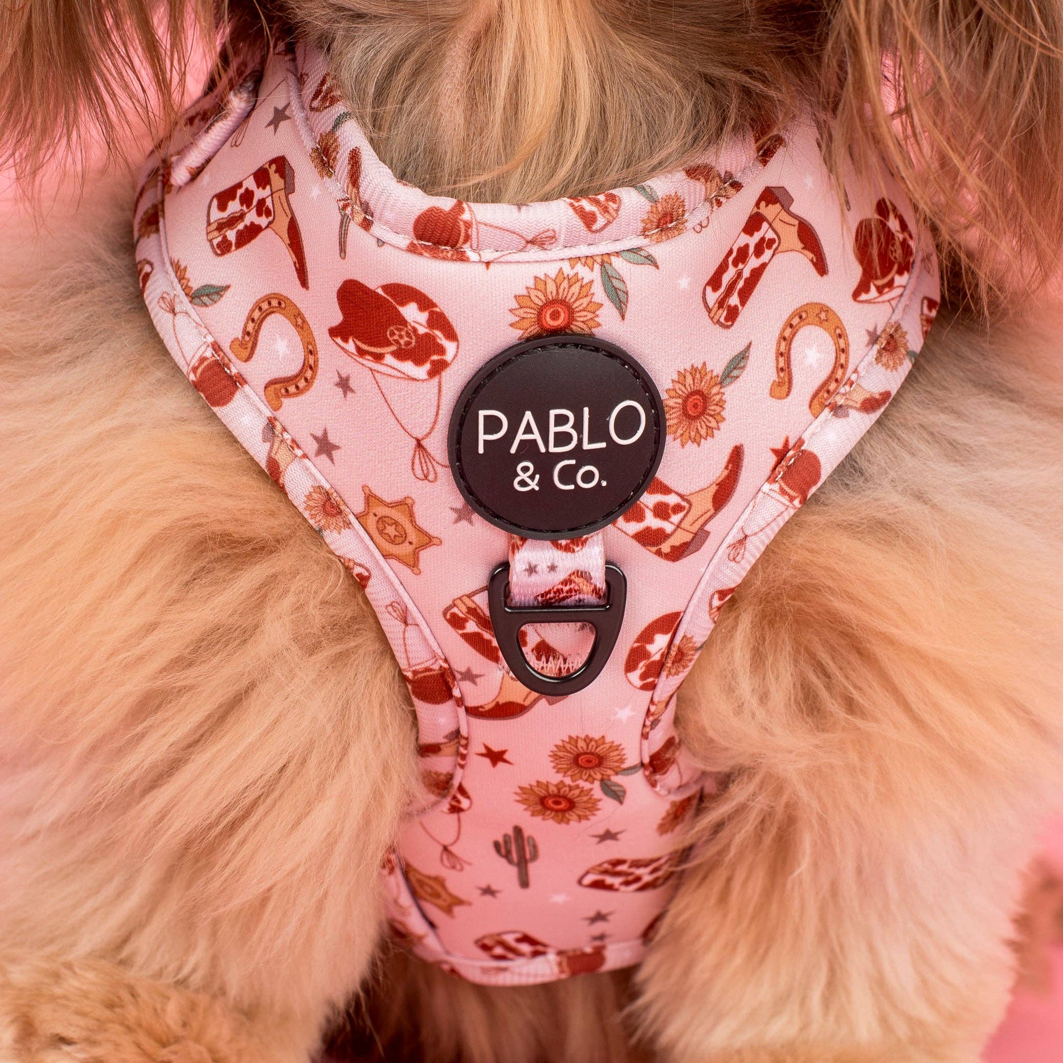 Pablo & Co. Boutique - Wholesale Pet Harness - Dog - Howdy: Adjustable Dog Harness1