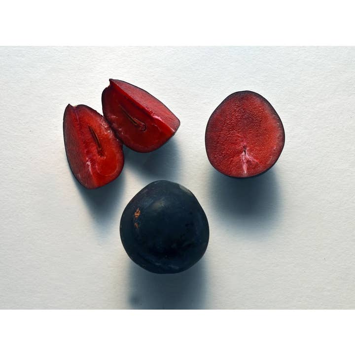 Australia's Manuka - Wholesale Honey - Australia's Manuka Superfoods Mullum Plum1