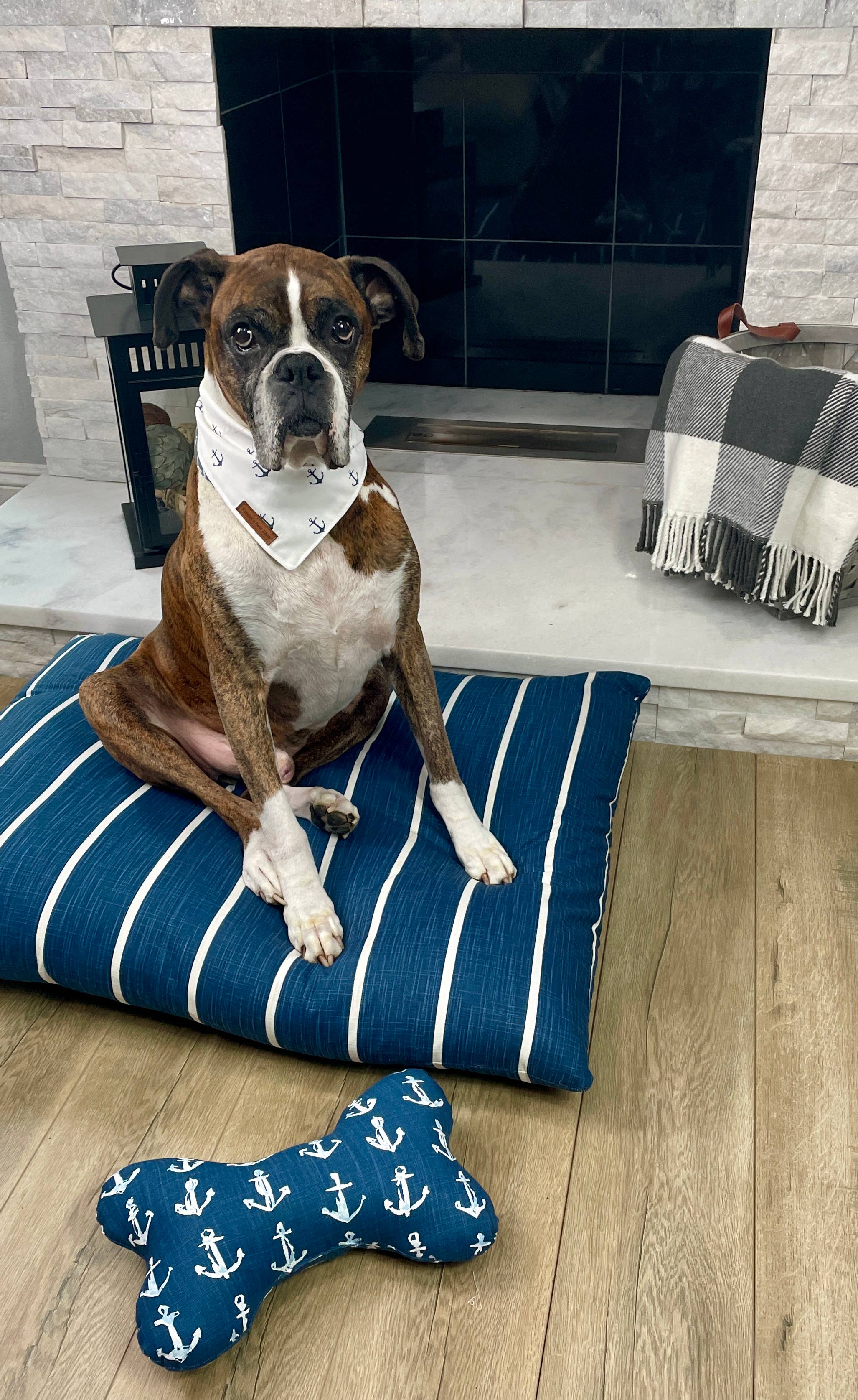 Cuddl – wholesale Pet bandana – Dog – Yacht Club Dog Bandana1