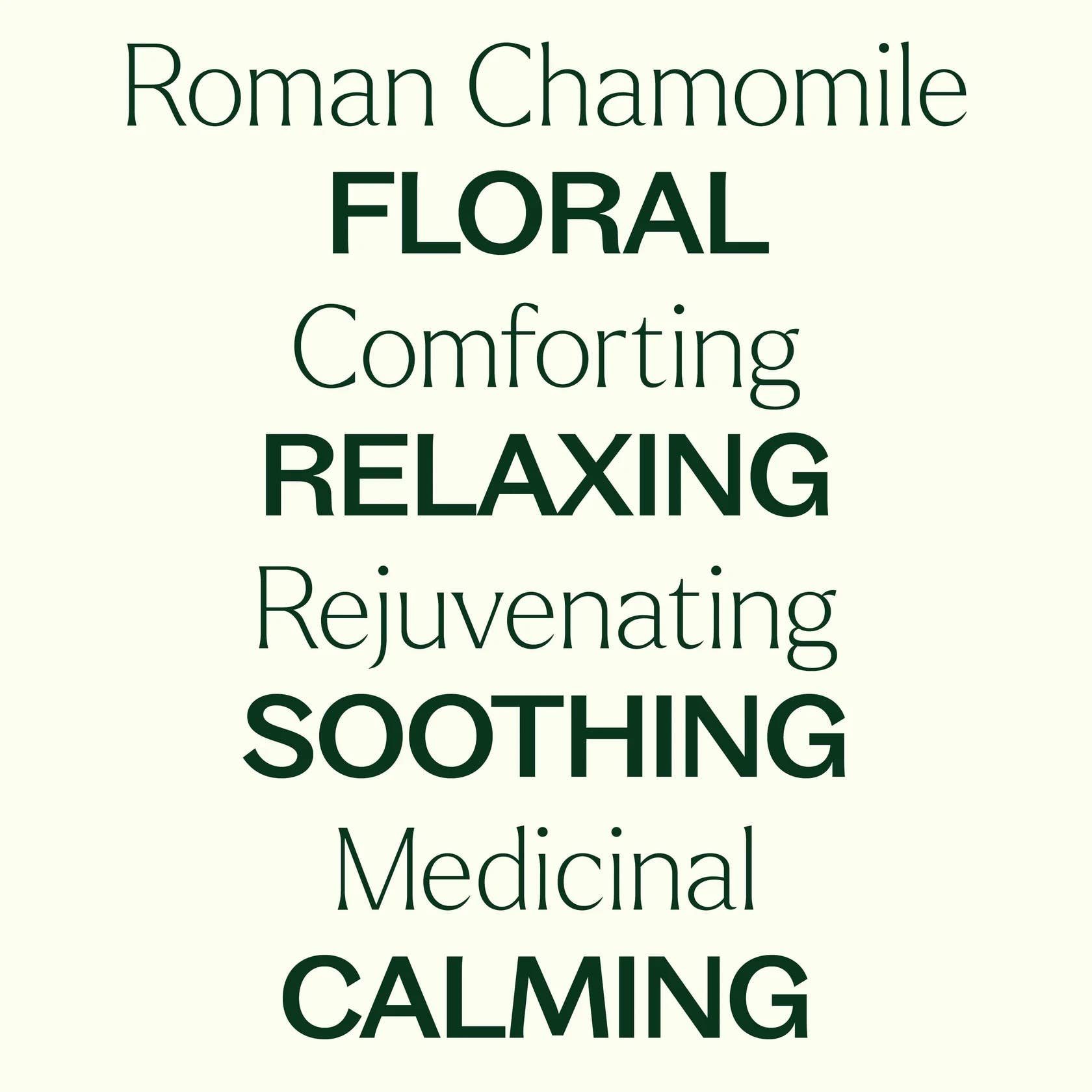 Plant Therapy - Wholesale Essential Oil - Organic Roman Chamomile Essential Oil 2.5 mL5