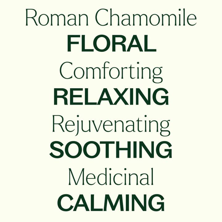 Plant Therapy - Wholesale Essential Oil - Organic Roman Chamomile Essential Oil 2.5 mL5