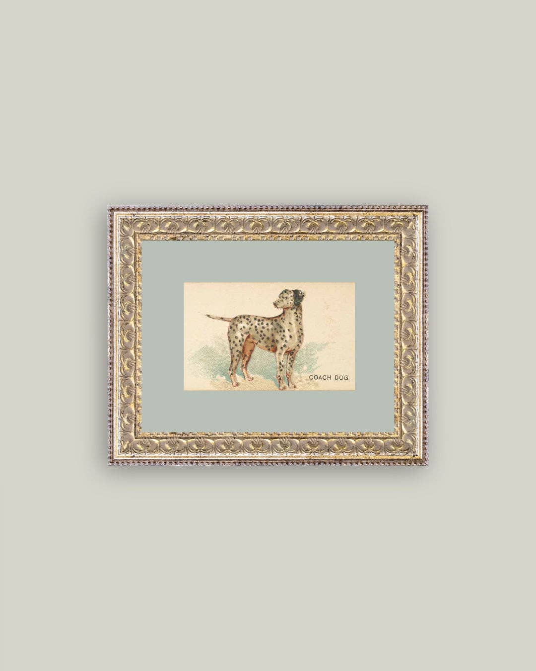 Petal Lane Home - Wholesale Art Print - Dalmation Framed Antique Art0